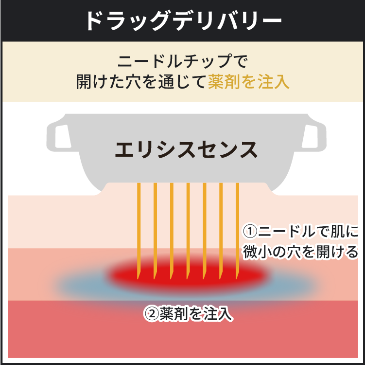 ドラッグデリバリーに関する解説